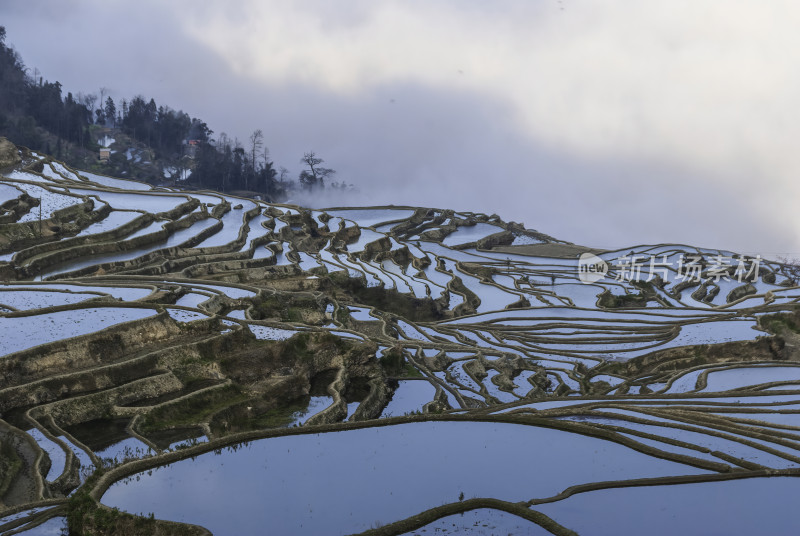 元阳梯田