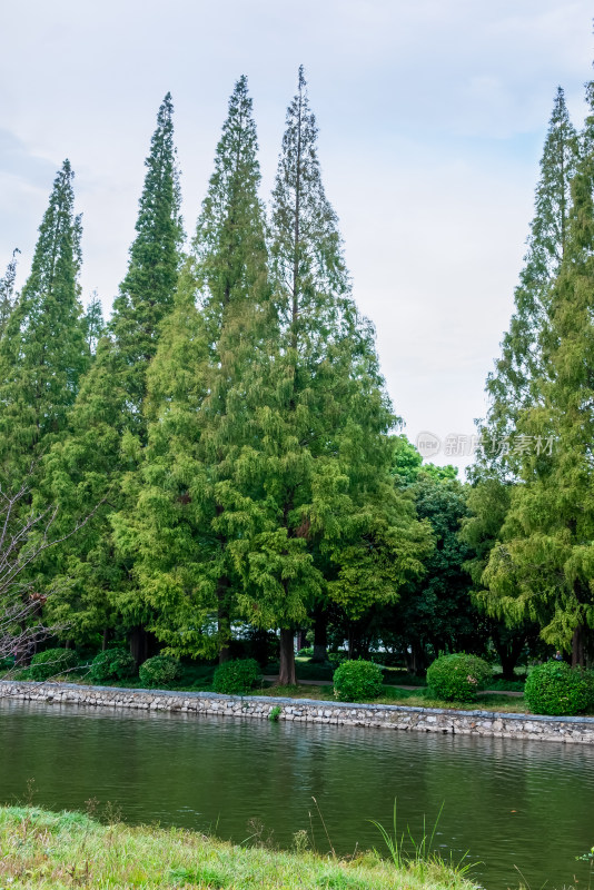 江苏镇江市焦山风景区风光