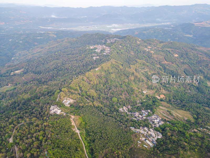 航拍被森林环绕的景迈山村庄全景