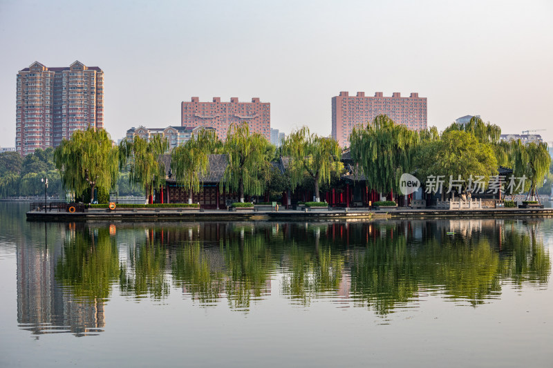 山东济南大明湖风景区自然景观与城市风光