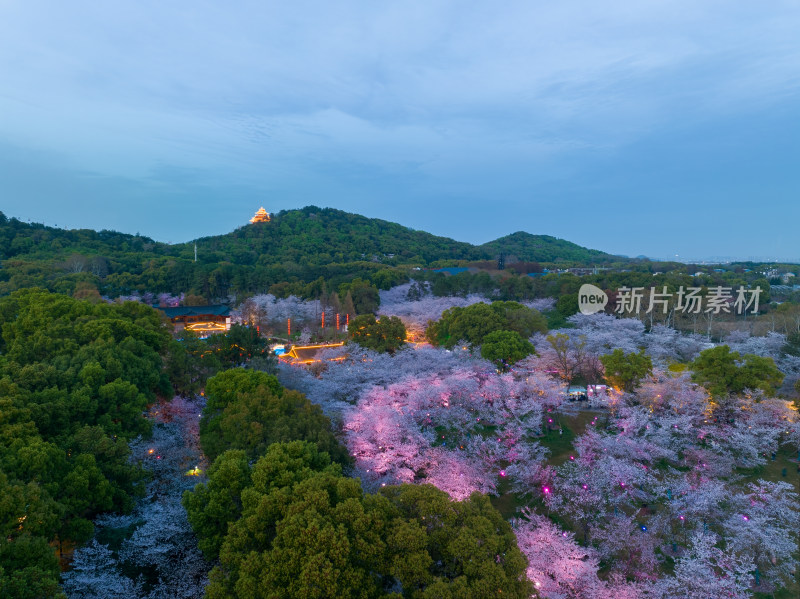 武汉东湖磨山樱花园夜景风光