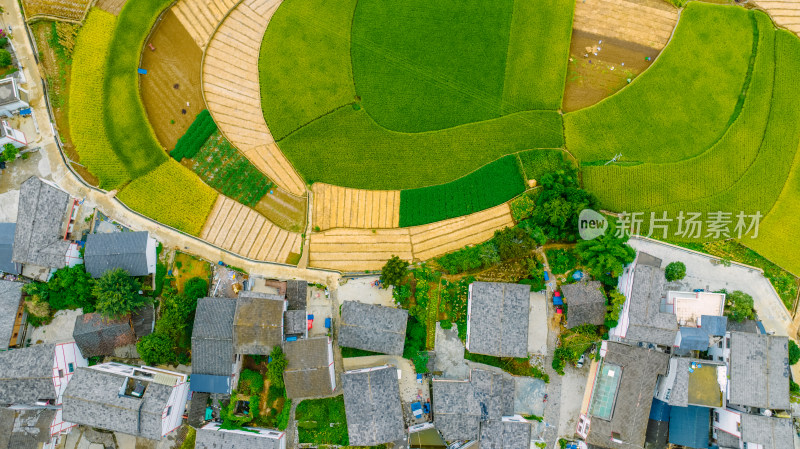 贵州万峰林农田风光