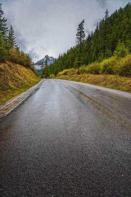 雪山森林里的公路