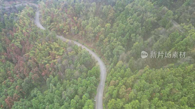 大自然绿色植物森林蜿蜒盘山公路云雾缭绕