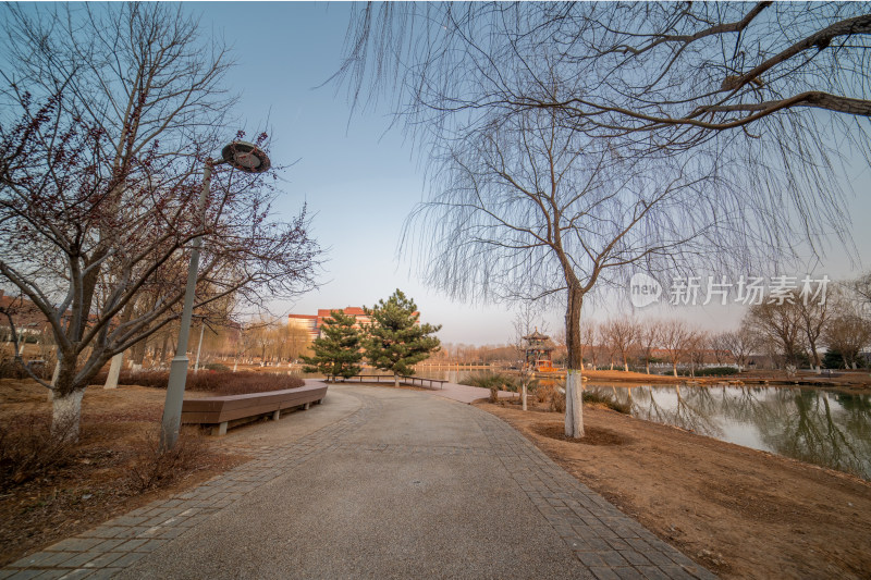 公园湖边林荫小道风景