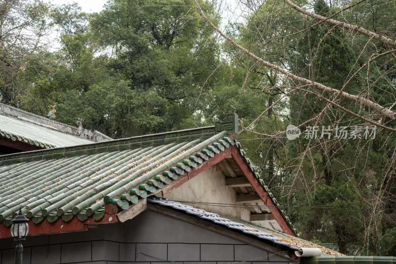 韶关的南华禅寺