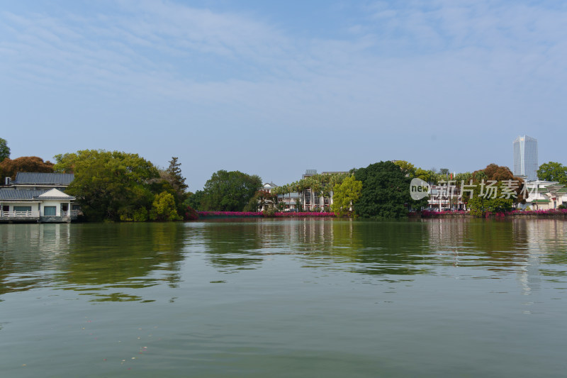 湖边绿树环绕的风景