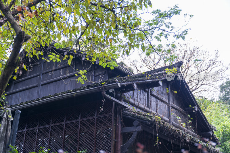 杭州三台山浙商总会风景