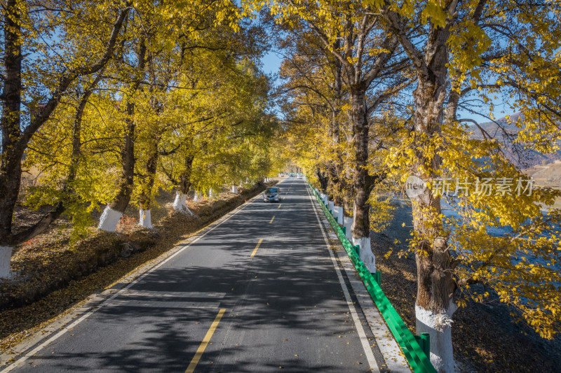 川西新都桥秋色公路