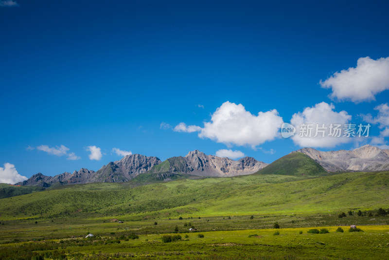 草原雪山蓝天自然风光