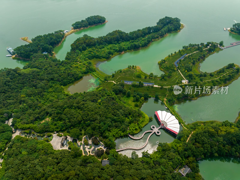 航拍夏季河南信阳南湾湖茶岛风光