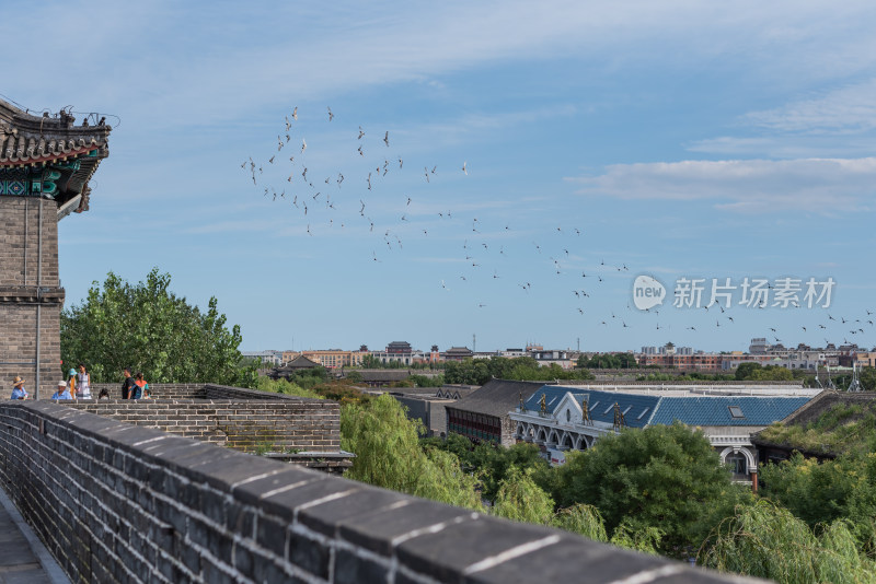 河北山海关老龙头明长城自然建筑景点景观