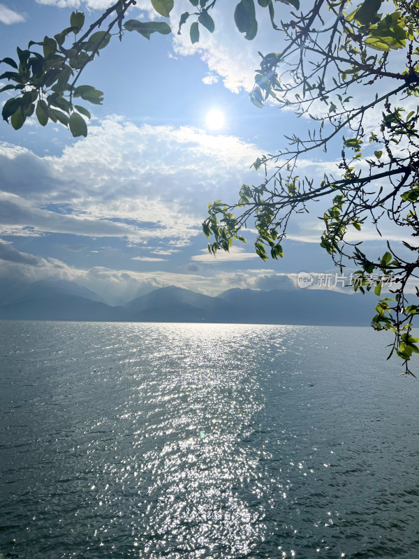 洱海边的自然风景