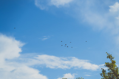 低角度鸟瞰天空