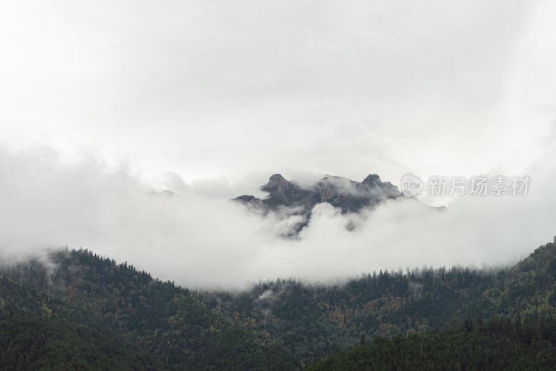 云雾中的森林山峰虎头山