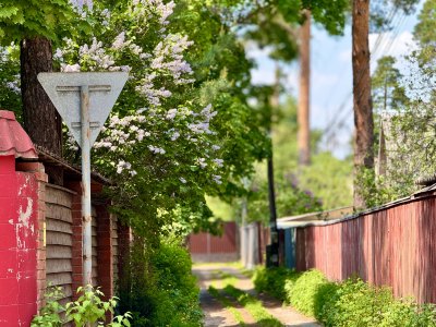 莫斯科街拍莫斯科地铁阿尔巴特大街美术馆