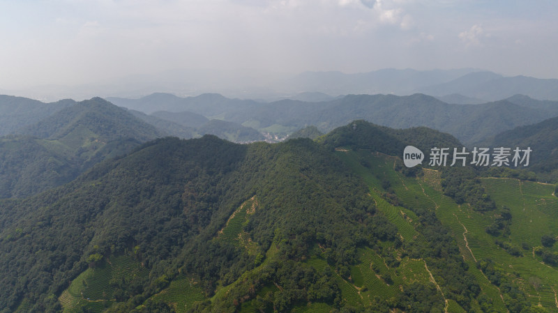 杭州西湖龙井茶园 十里琅珰