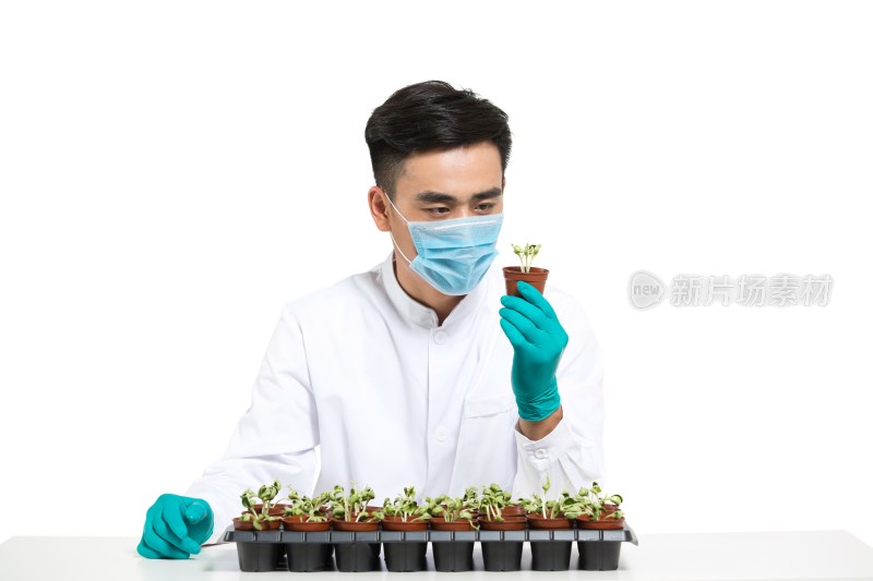 男科学家研究观察植物幼苗