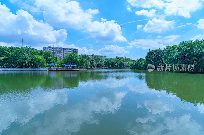 广州长洲岛中山公园湖泊树林园林景观