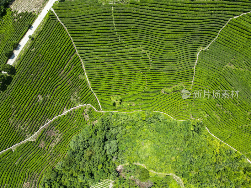 祖国大好河山青山绿水自然风光航拍图