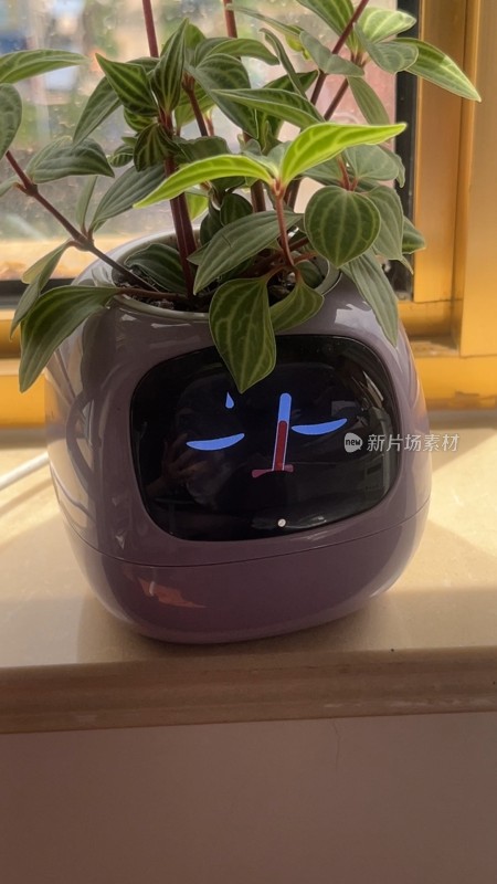带表情显示屏的智能盆栽高温报警炎热
