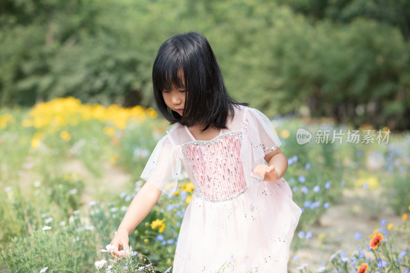 可爱的采花小女孩在户外