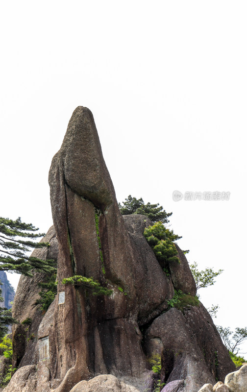 黄山天都峰迎客松