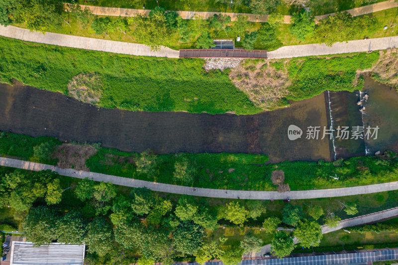 深圳大沙河碧道茶光段