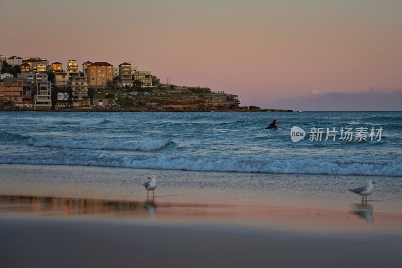 悉尼邦迪沙滩，bondi beach，日落与倒影