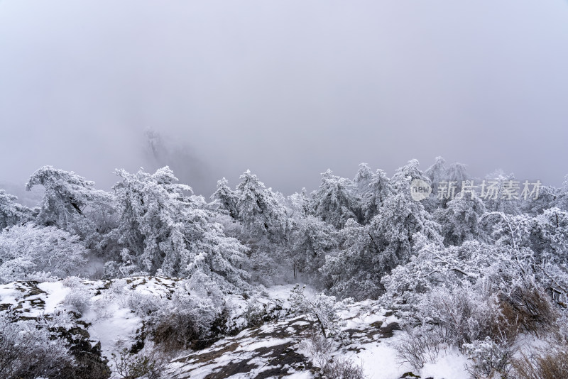 寒冷冬季大雪冰冻雾凇