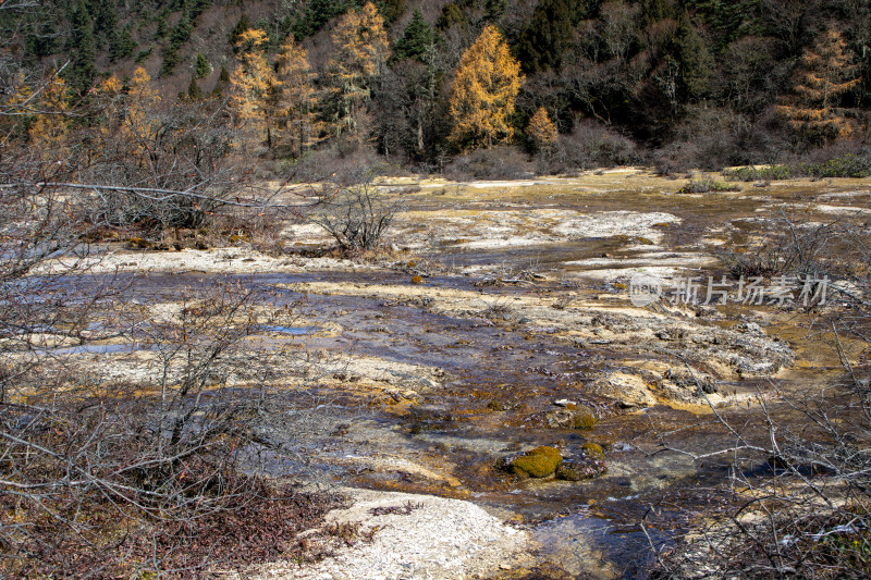 四川阿坝黄龙景区秋日山林静谧溪流