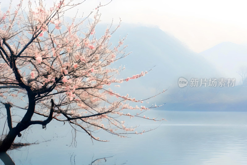 风景春天植物花朵背景