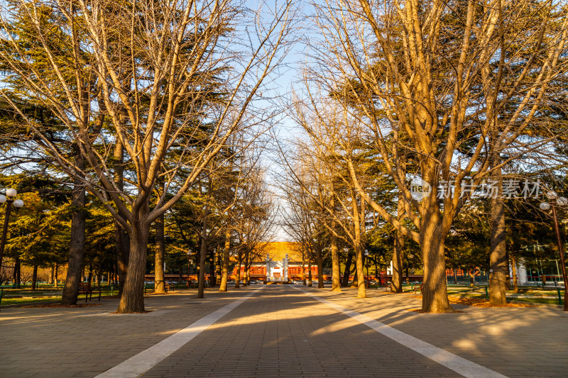 北京市中山公园内的中山堂