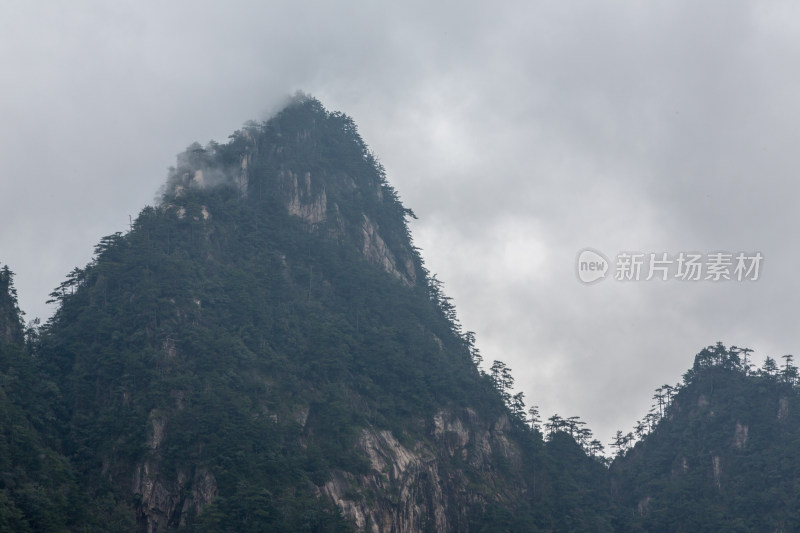 云海中的大明山