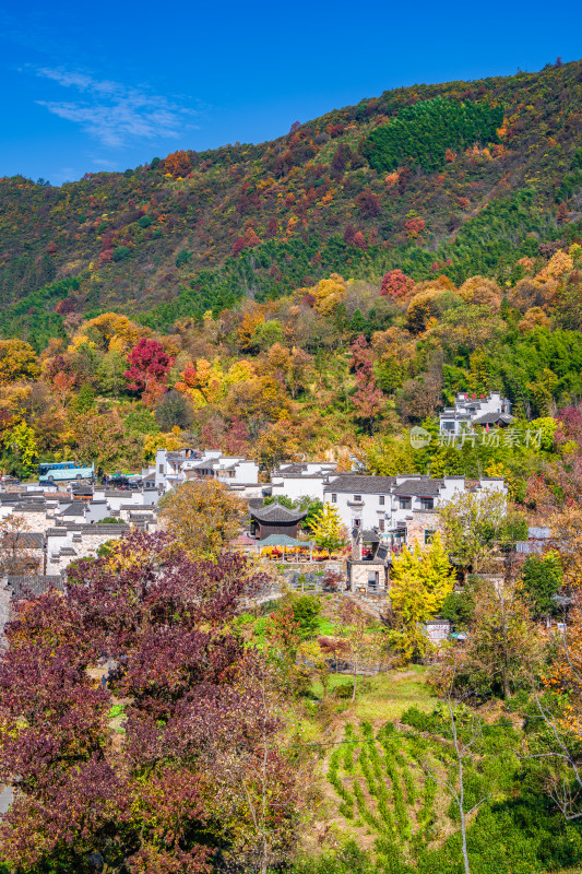 皖南秋色塔川国家森林公园