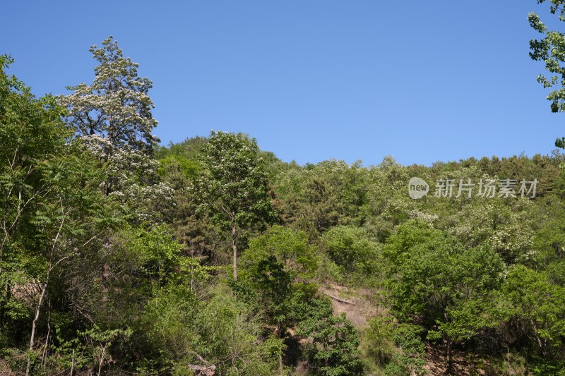 太行山车轱辘坨风光