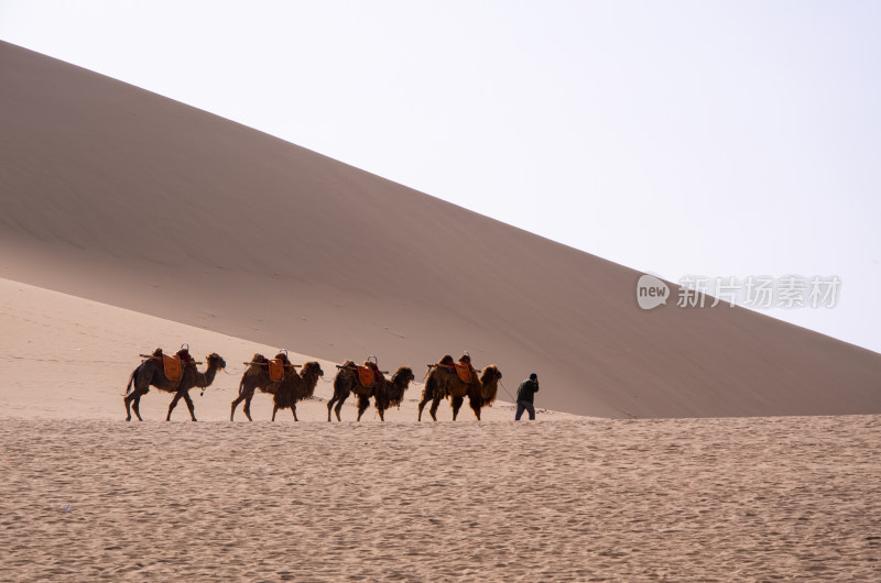 甘肃敦煌鸣沙山月牙泉旅游景区沙漠风光