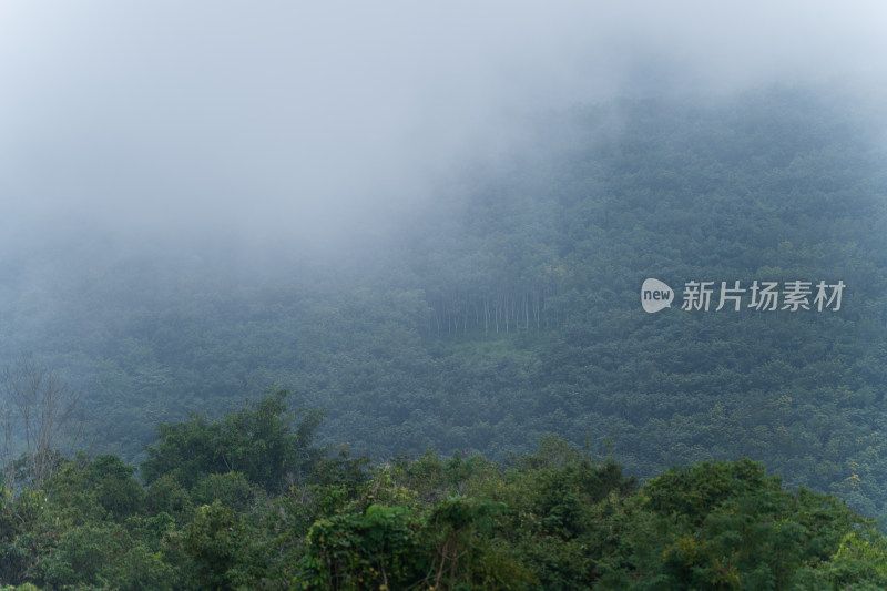 云雾缭绕的山间秘境