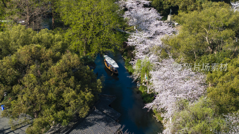 杭州西湖古风建筑与樱花树下的小船