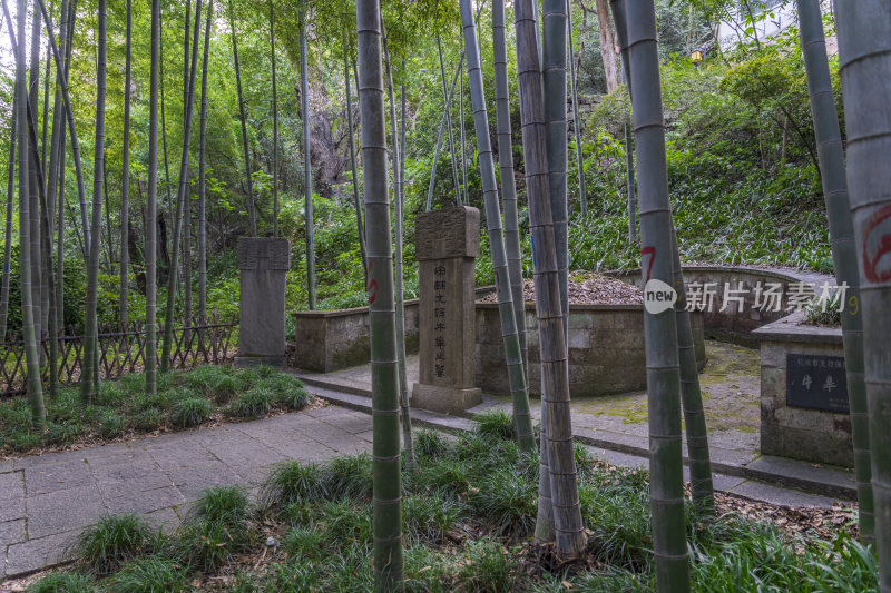 杭州宝石山牛皋墓