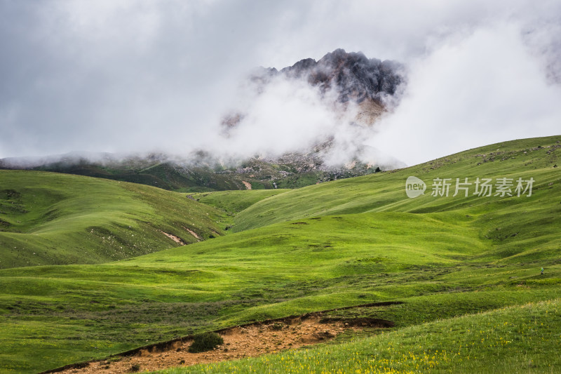 云雾缭绕的高山草原