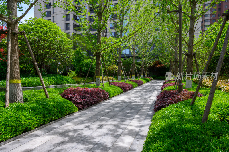 夏季白天商业住宅小区内部景观