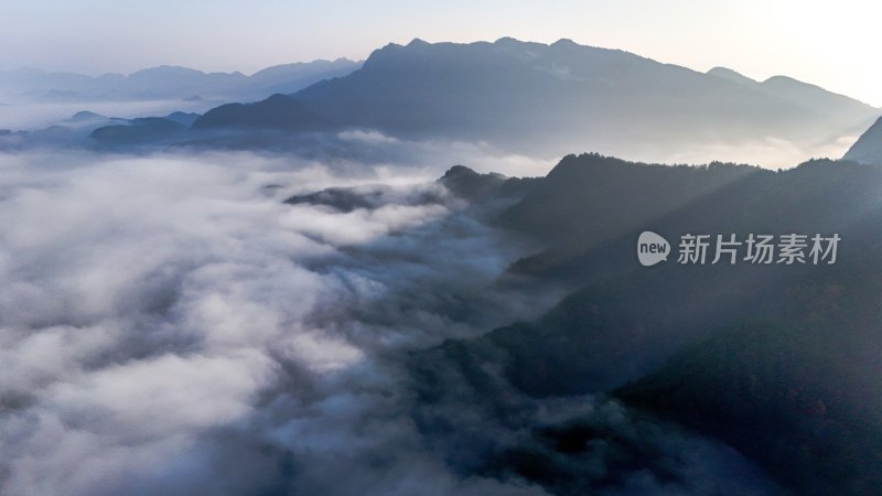 贵州沿河：红花盖下雾正浓