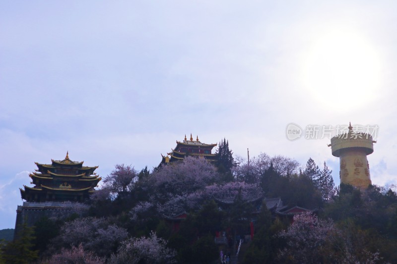 独克宗古城大佛寺