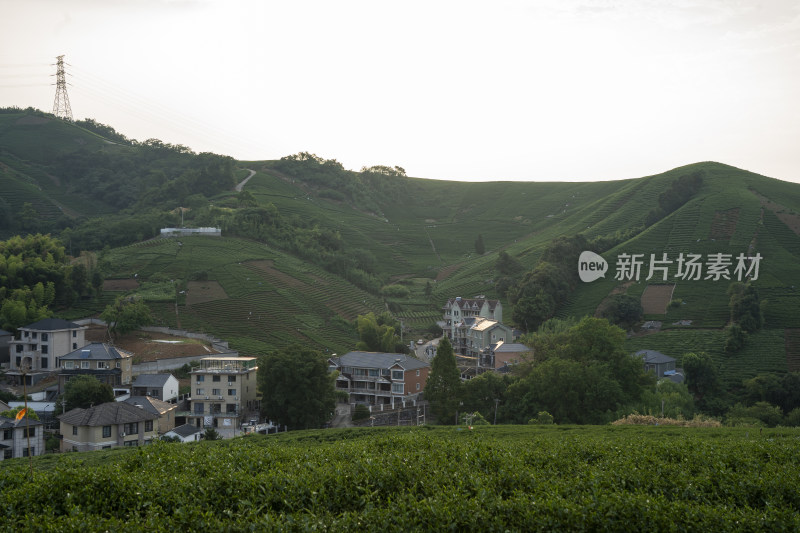 浙江杭州大朗山自然风光，在夕阳下的汽车