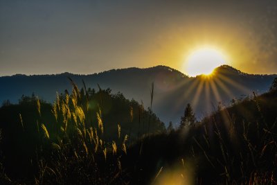 重庆酉阳：群山中的茶山