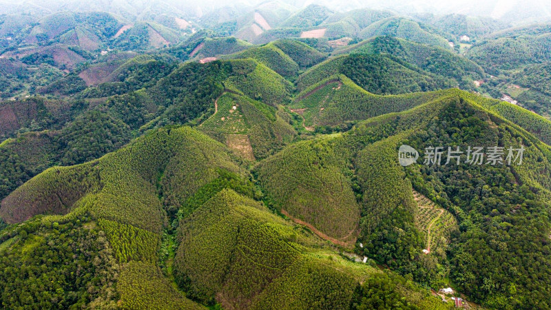 山 山脉 山峦