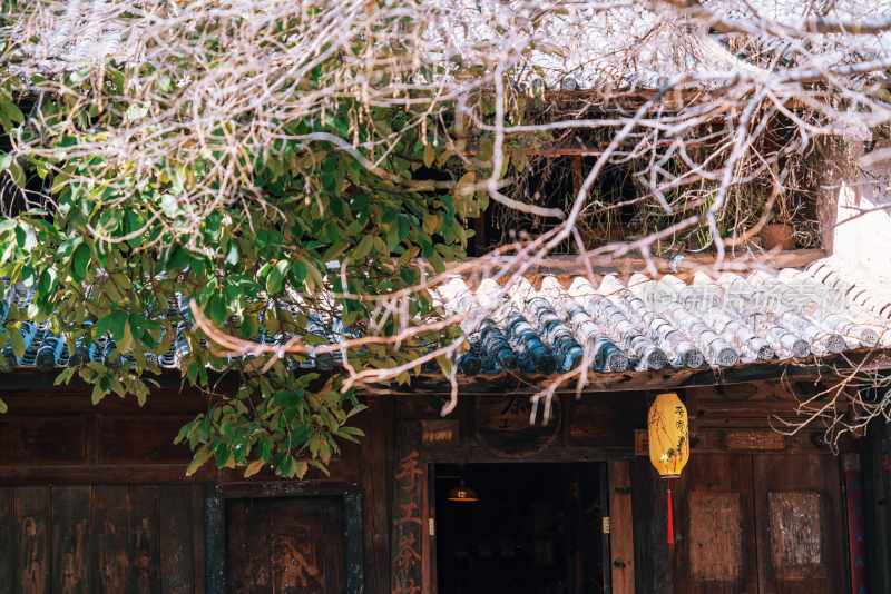 云南旅游大理洱海蒙自弥勒建水元阳梯田景区