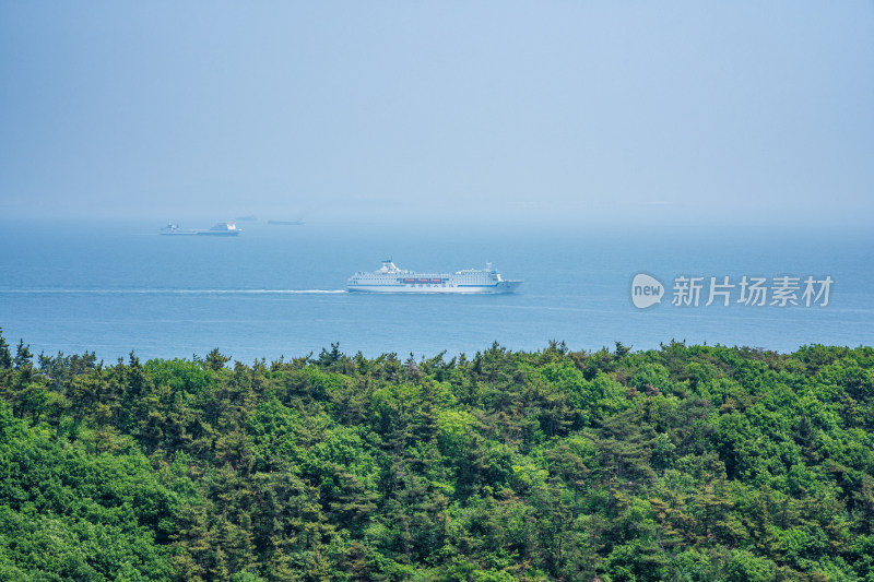 越过森林远眺海面上巨型游轮