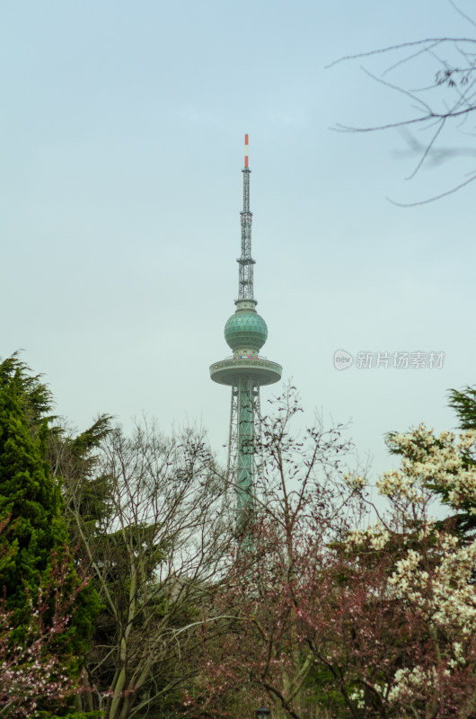 青岛中山公园初春风景